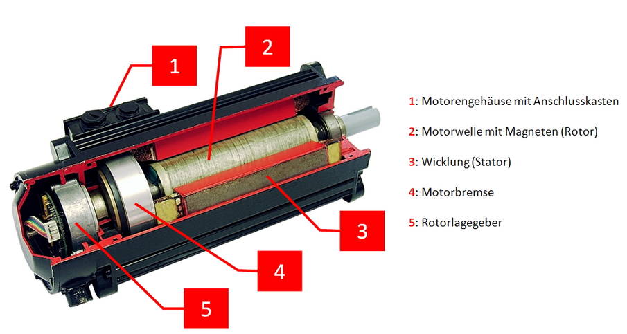 Schnittmodell eines bürstenlosen Servomotors